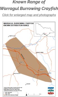 Click for enlarged map and photographs Known Range of Warragul Burrowing Crayfish